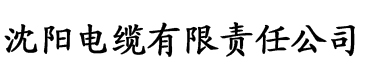 大香蕉理伦片电缆厂logo